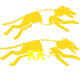  KK6
